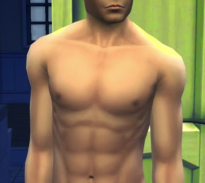the sims 3 penis